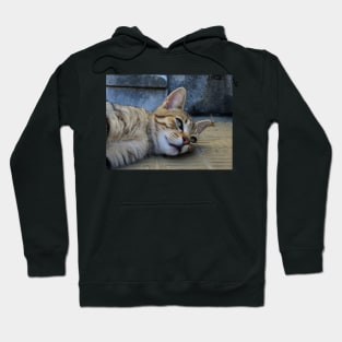 Cat - Recoleta, Buenos Aires Hoodie